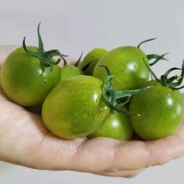 Sungreen Cherry Tomato Seeds