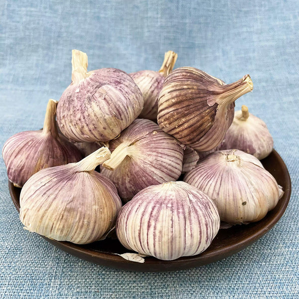 Garlic Musik Organic Bulbs