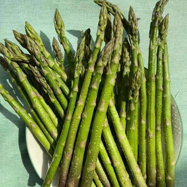 Mary Washington Asparagus Seeds