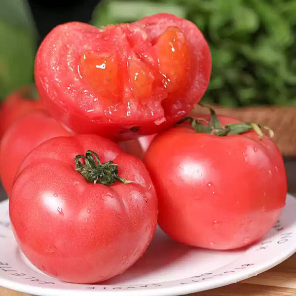 Whopper CR Improved Hybrid Tomato Seeds