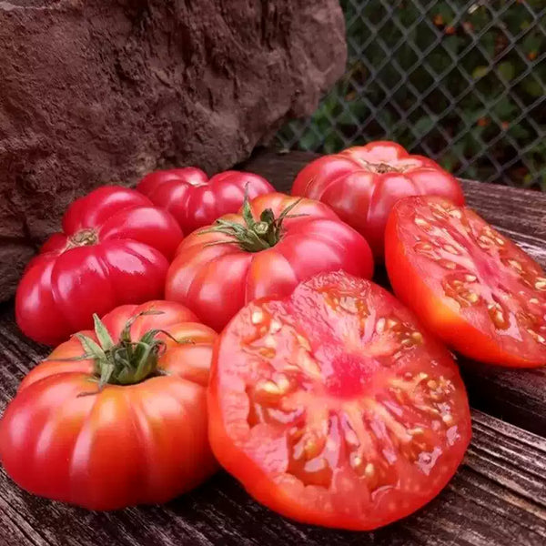 Costoluto Genovese Tomato Seeds