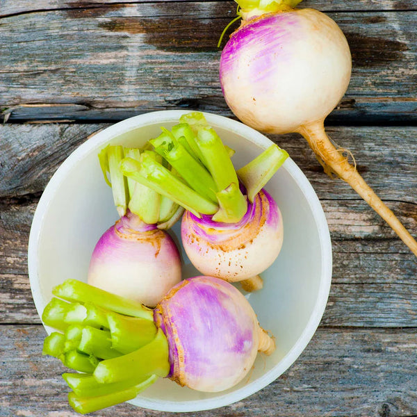 Purple Top White Globe Turnip Seeds